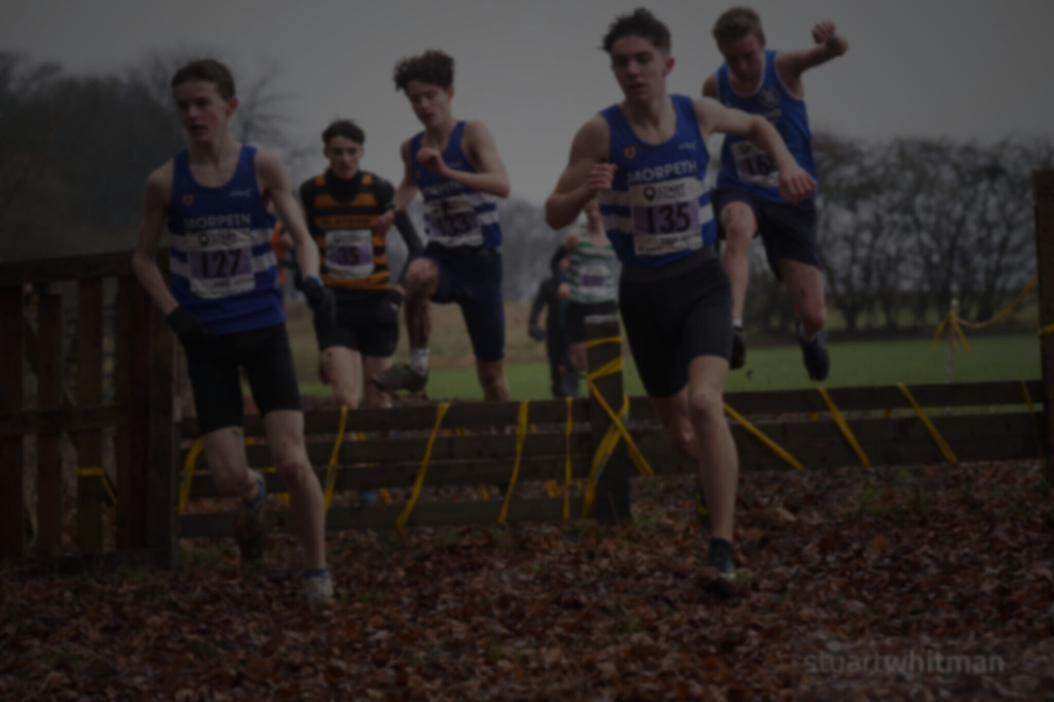 Morpeth Harriers